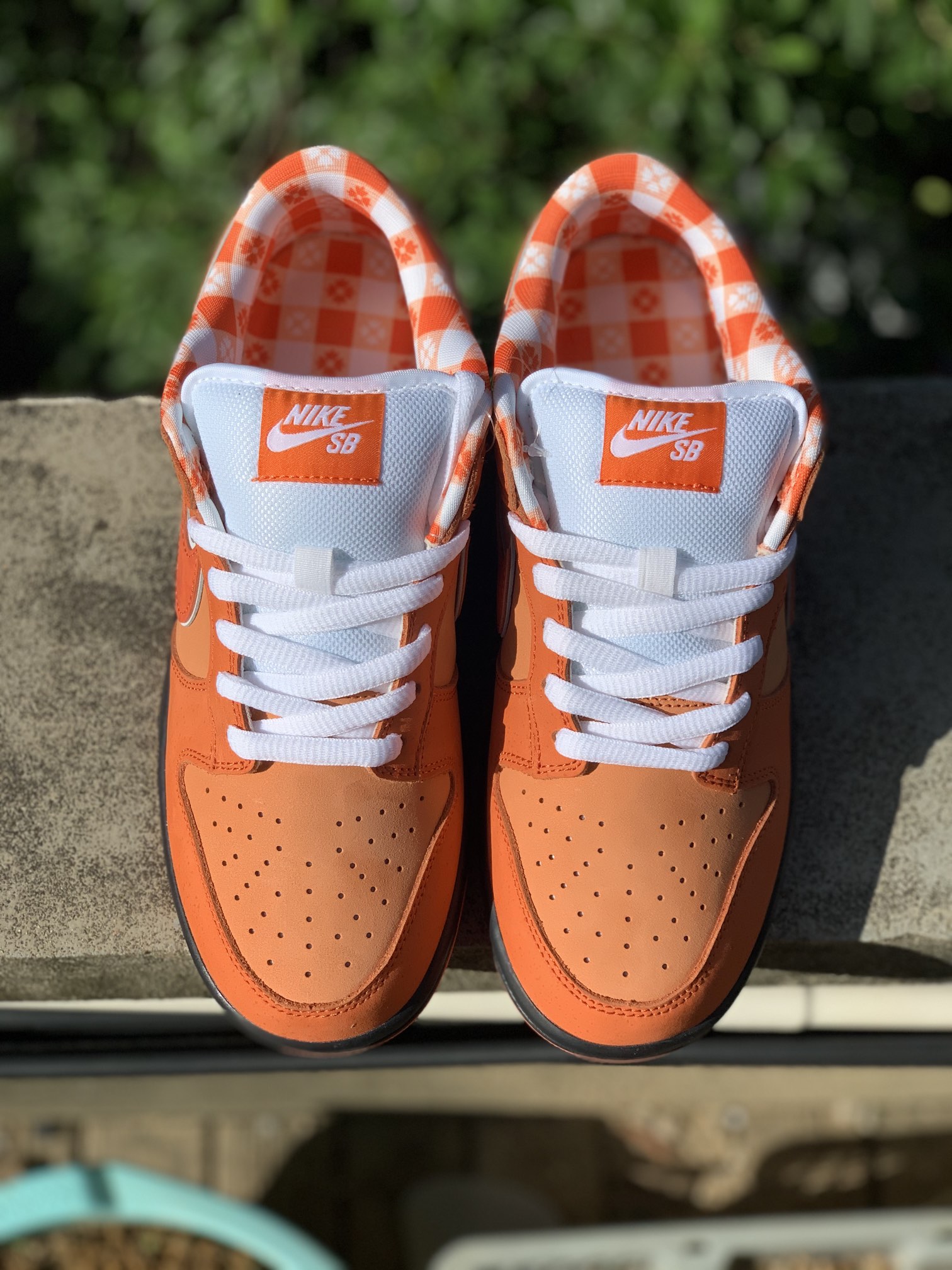 Nike SB Dunk Low Concepts Orange Lobster