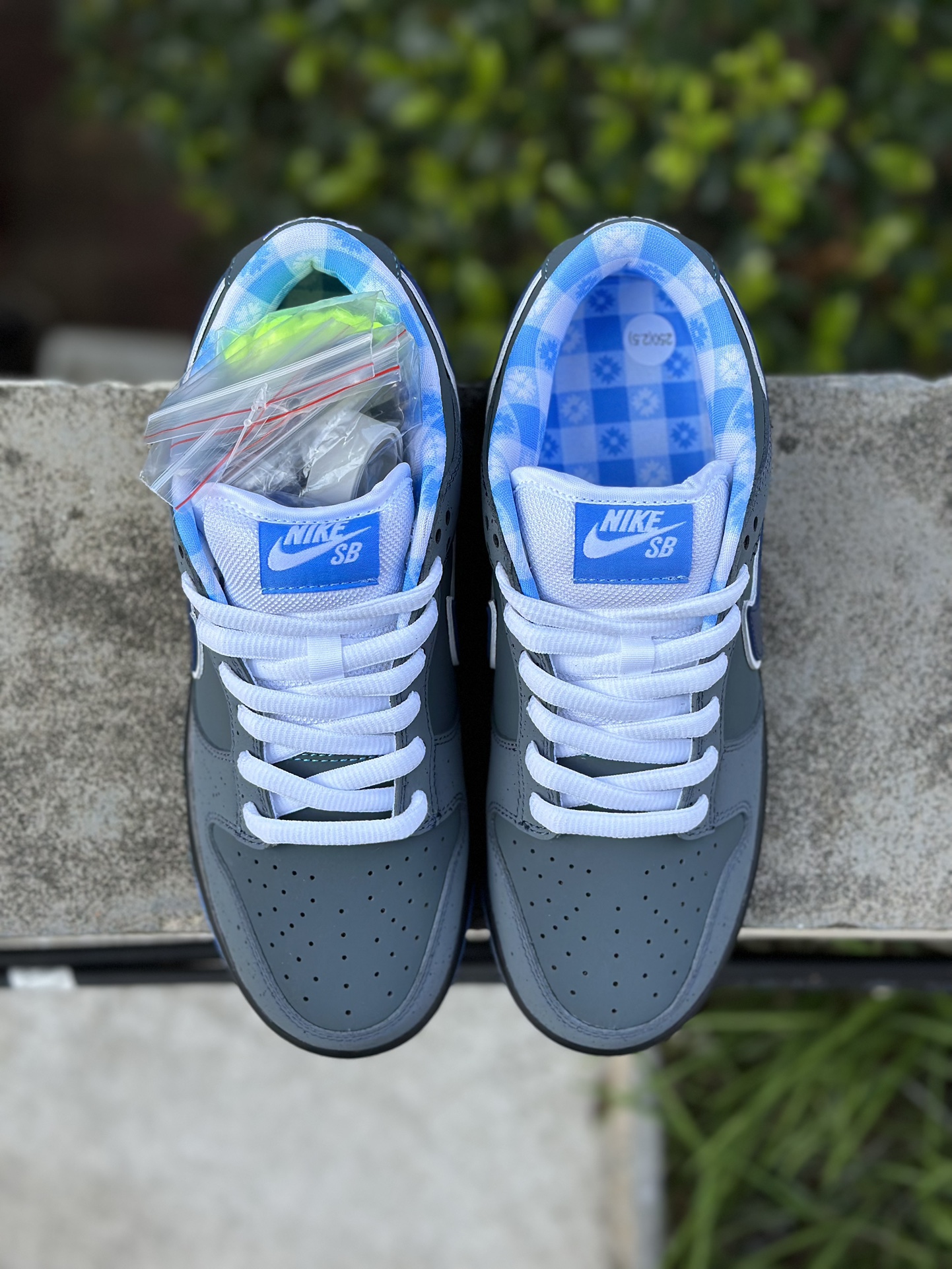 Nike SB Dunk Low Concepts Blue Lobster