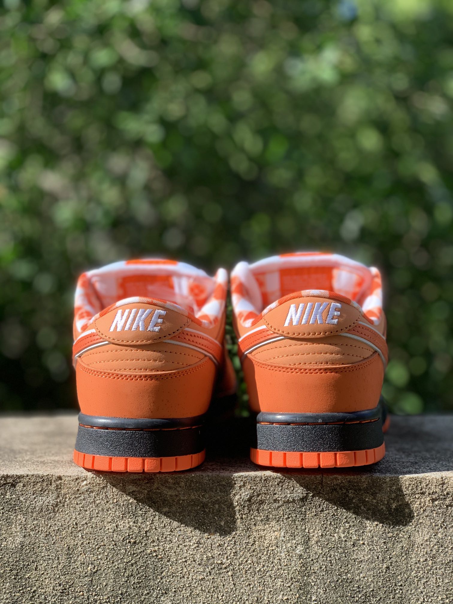 Nike SB Dunk Low Concepts Orange Lobster