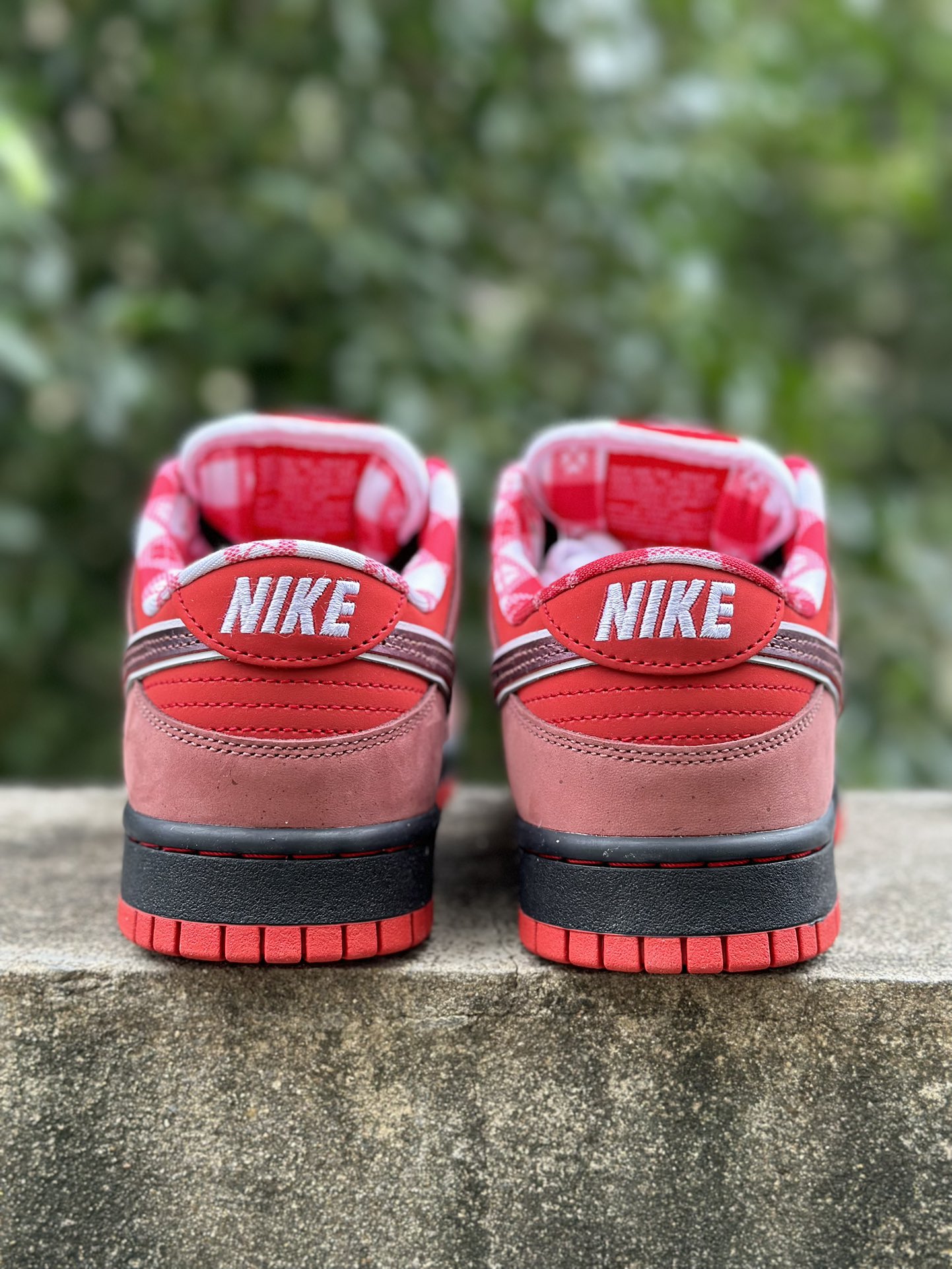 Nike SB Dunk Low Concepts Red Lobster