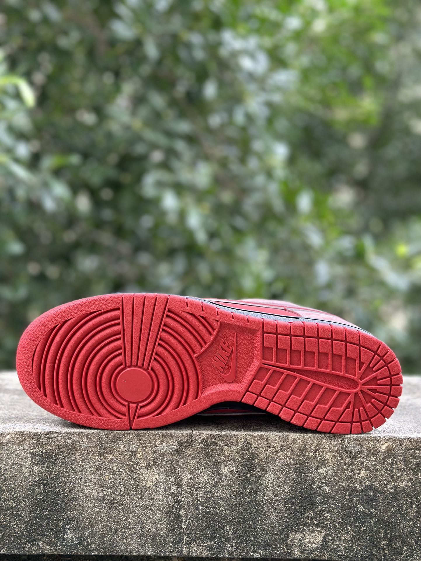 Nike SB Dunk Low Concepts Red Lobster