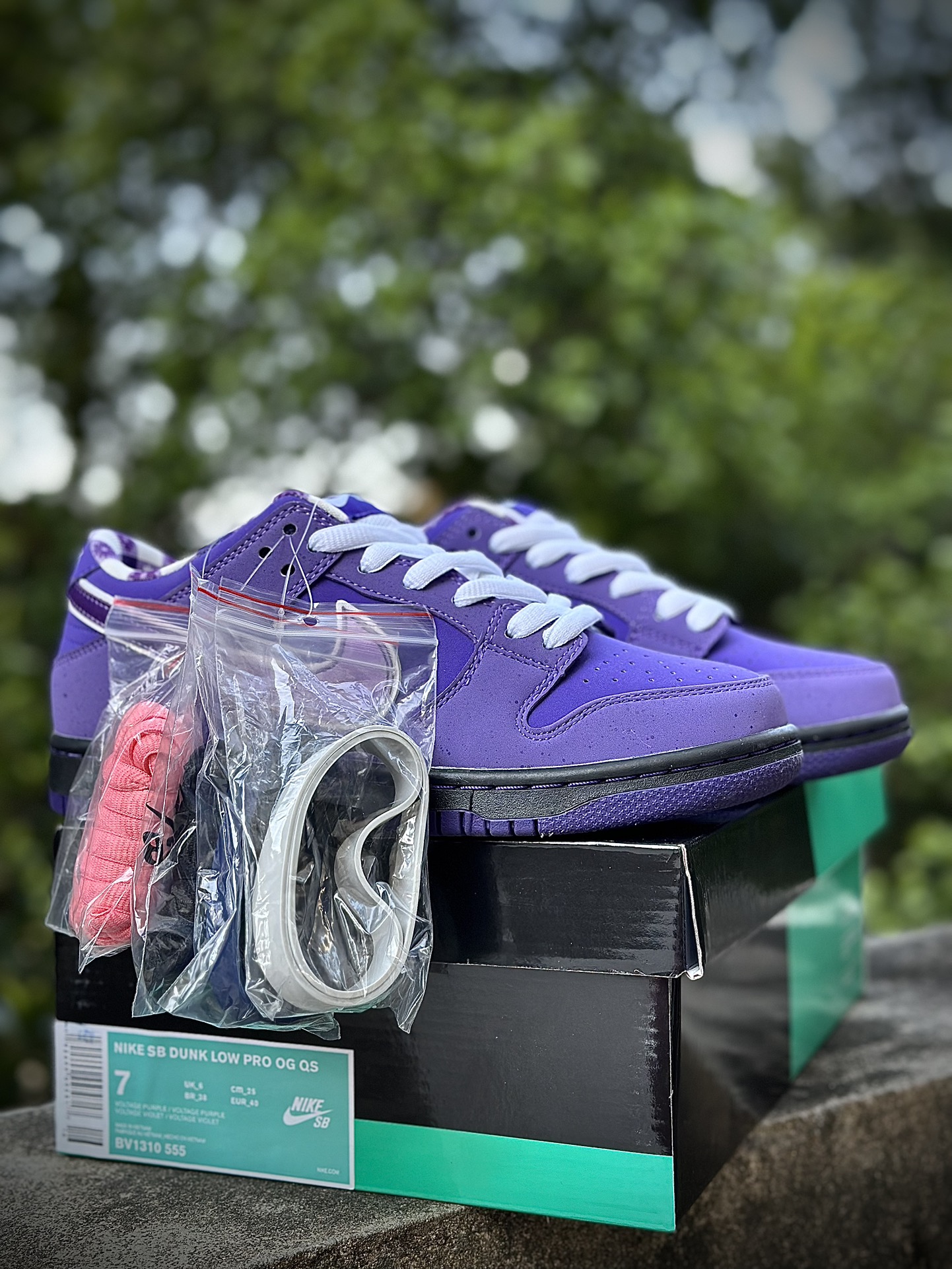 Nike SB Dunk Low Concepts Purple Lobster