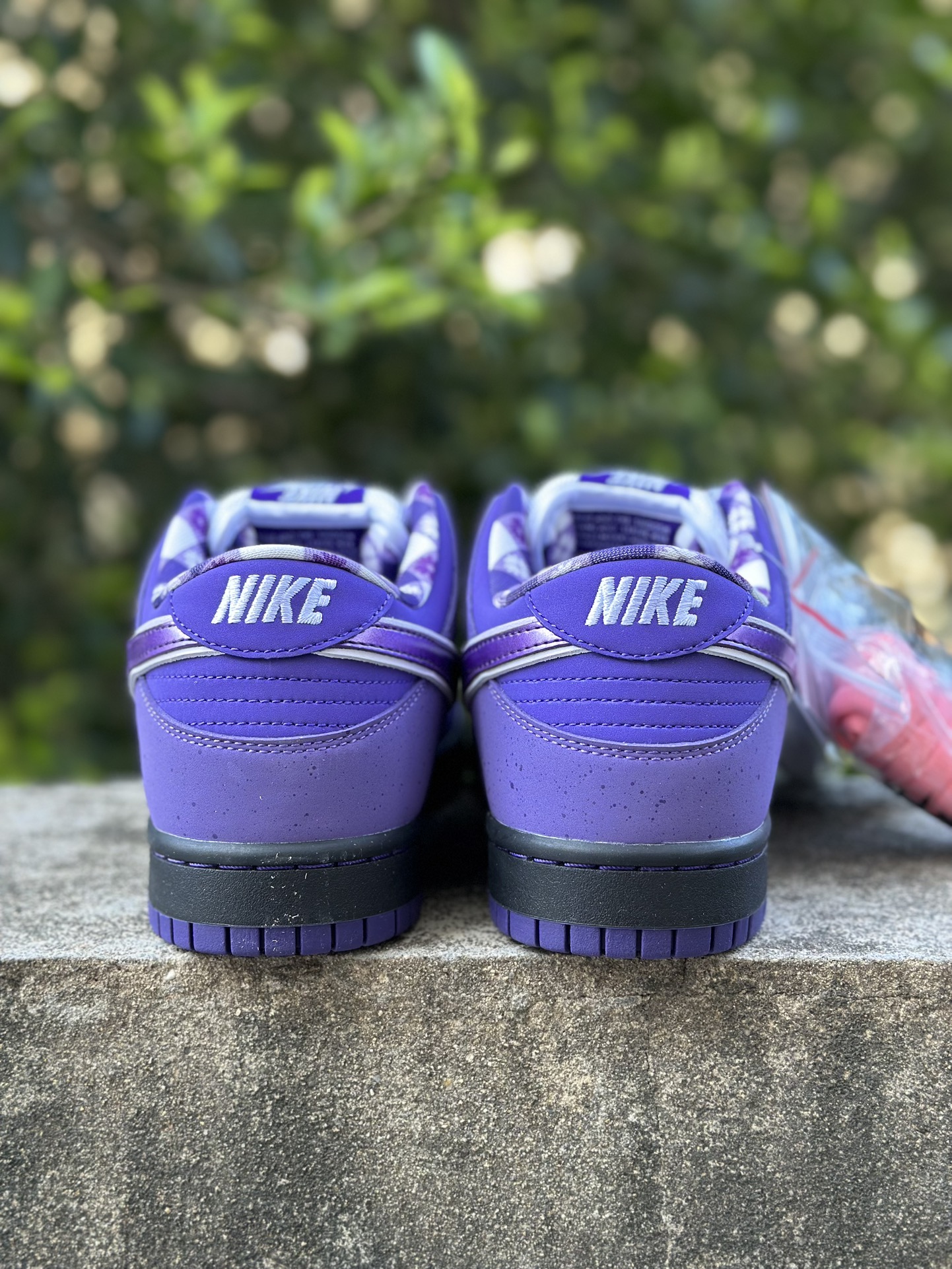 Nike SB Dunk Low Concepts Purple Lobster