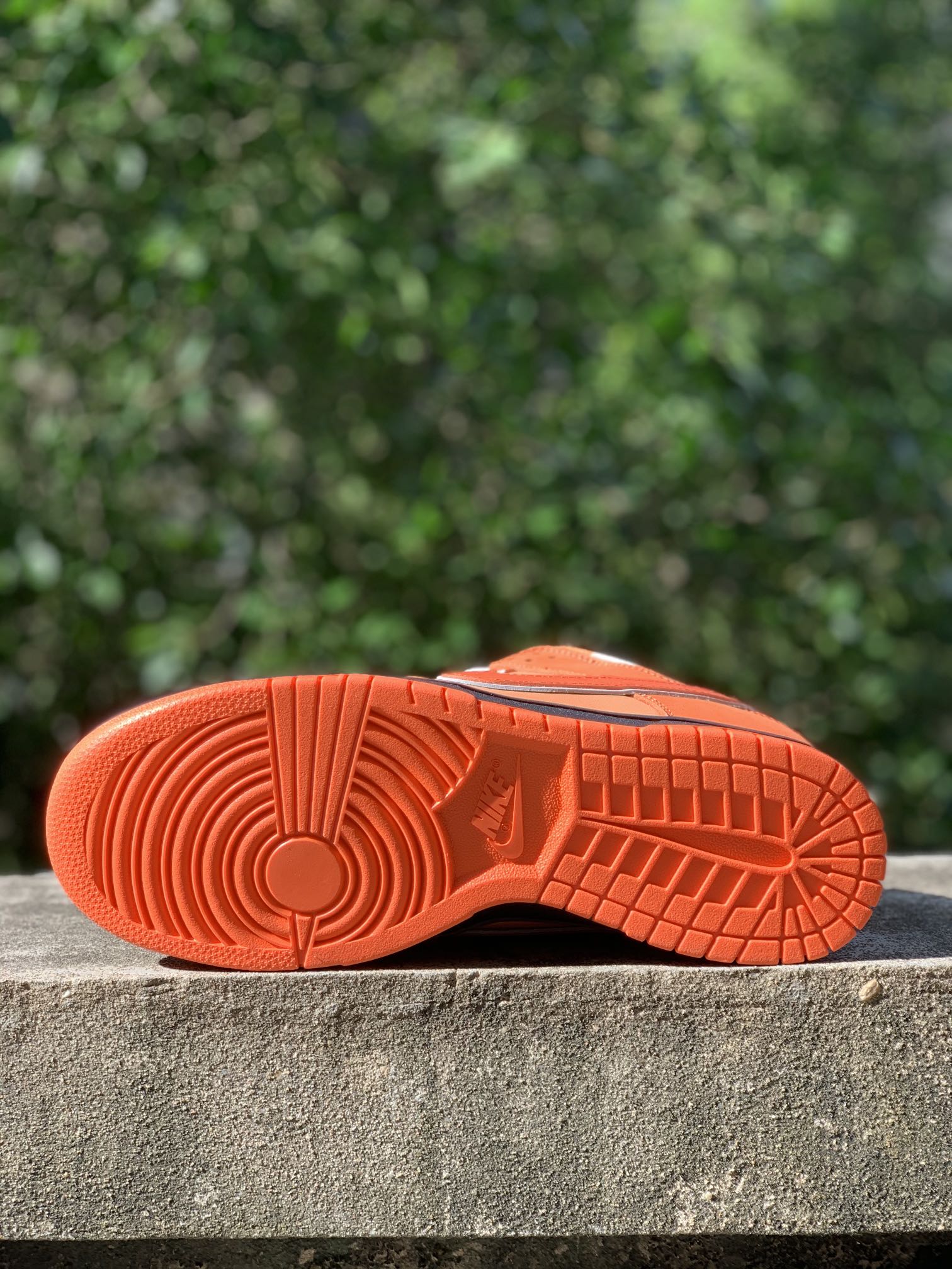 Nike SB Dunk Low Concepts Orange Lobster