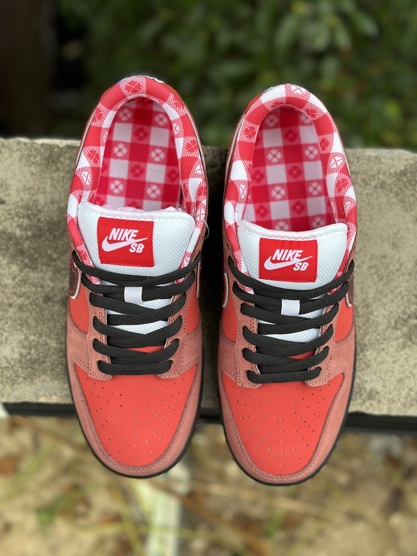 Nike SB Dunk Low Concepts Red Lobster
