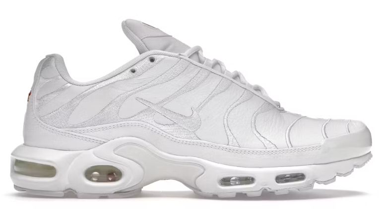 Nike Air Max Plus Triple White AJ2029-100
