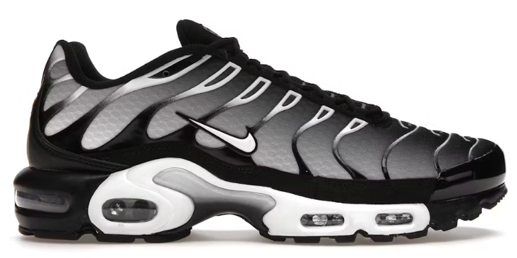 Nike Air Max Plus Black Silver White DM0032 003