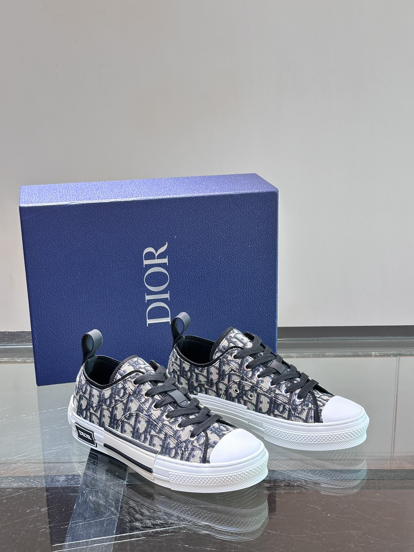 DIOR B23