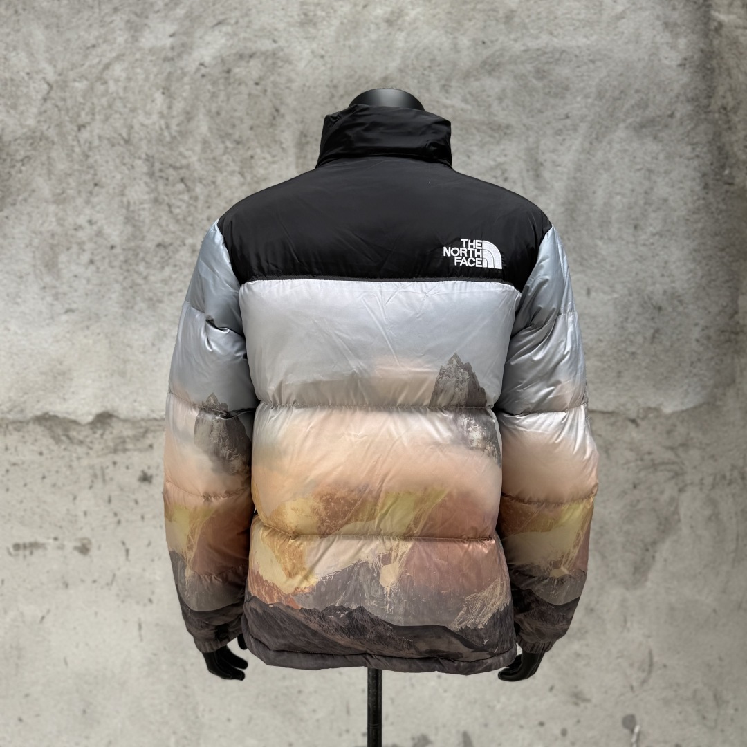 TNF Down Jacket