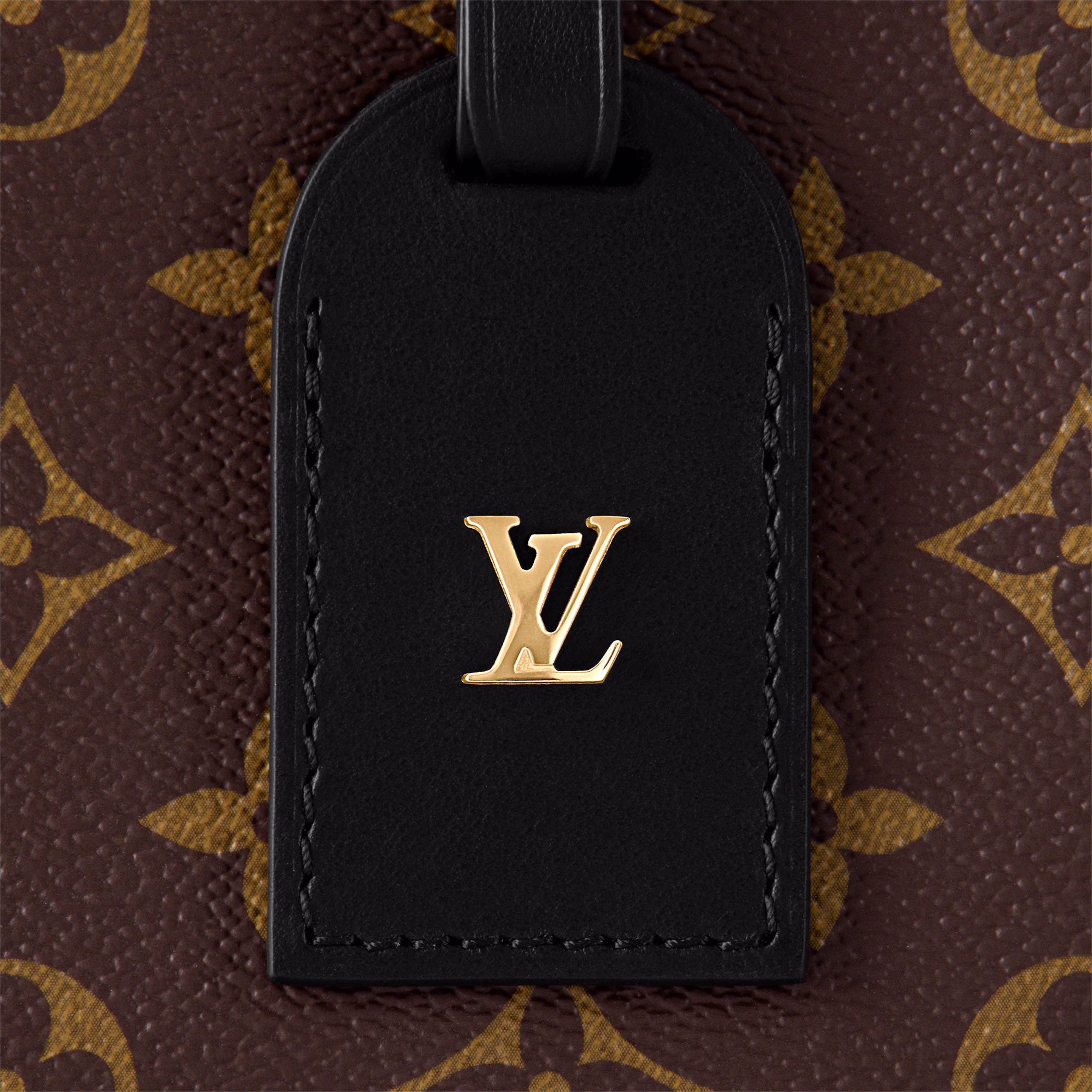 Petite Malle Souple M45571