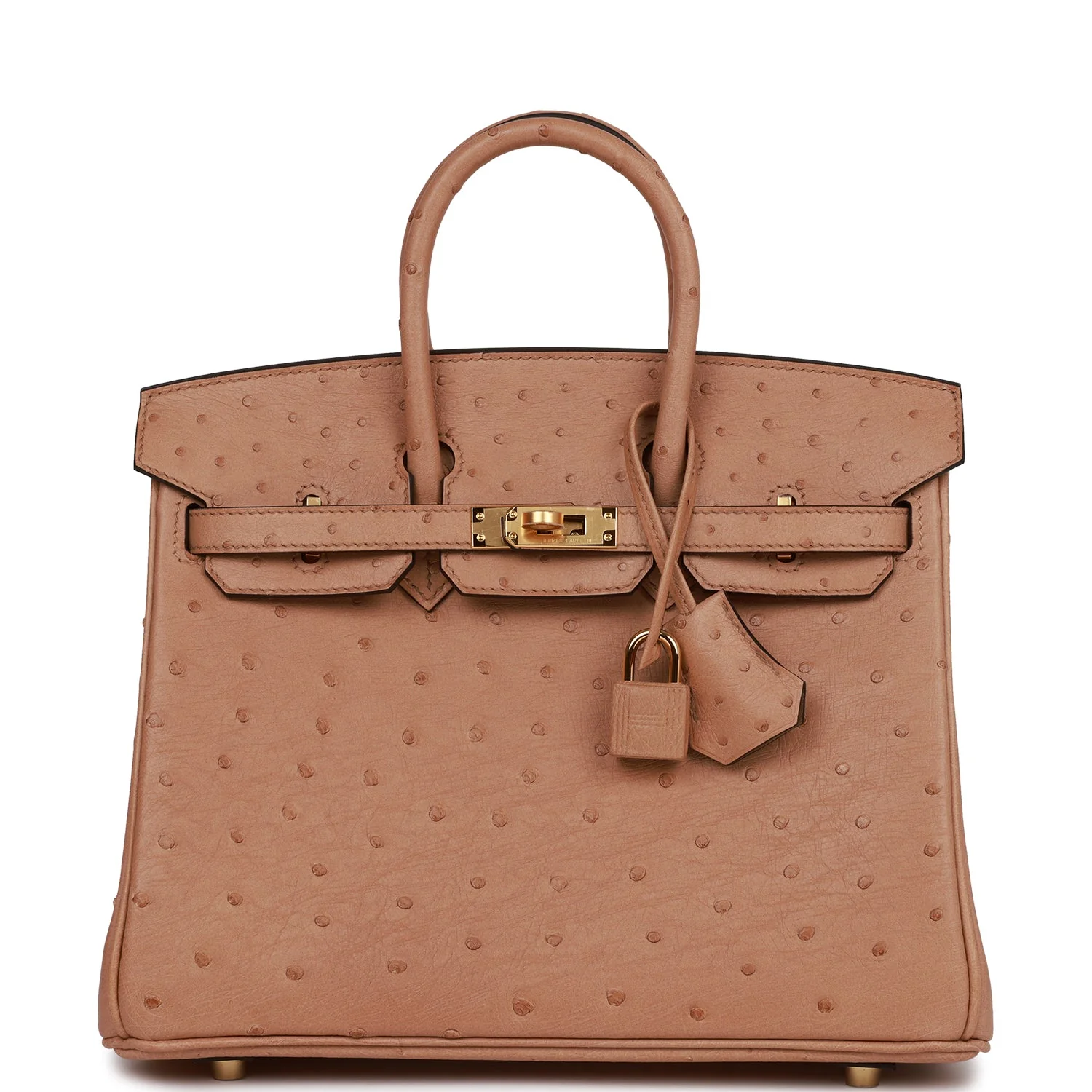 Her Birkin 25 Chai Ostrich Gold Hardware