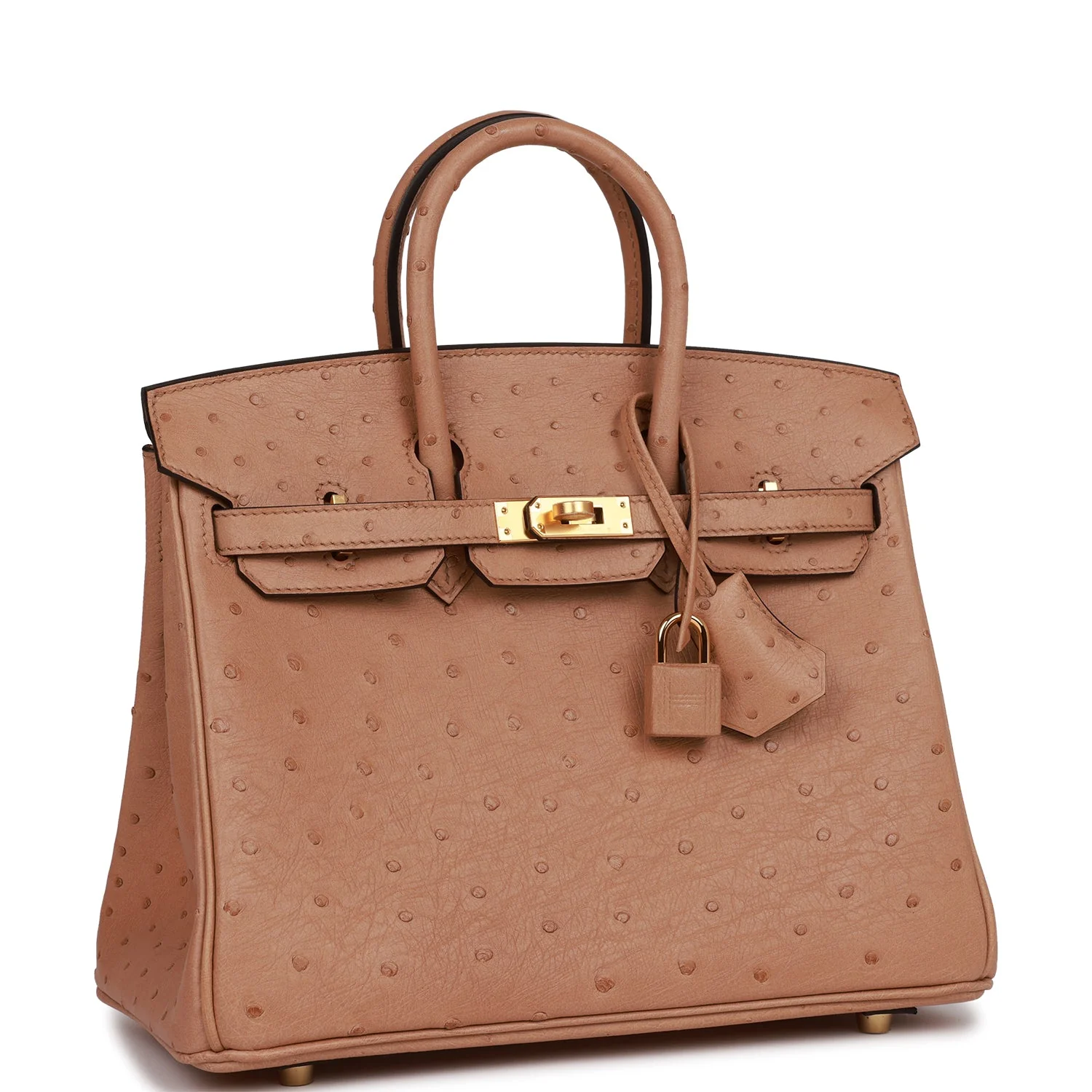 Her Birkin 25 Chai Ostrich Gold Hardware
