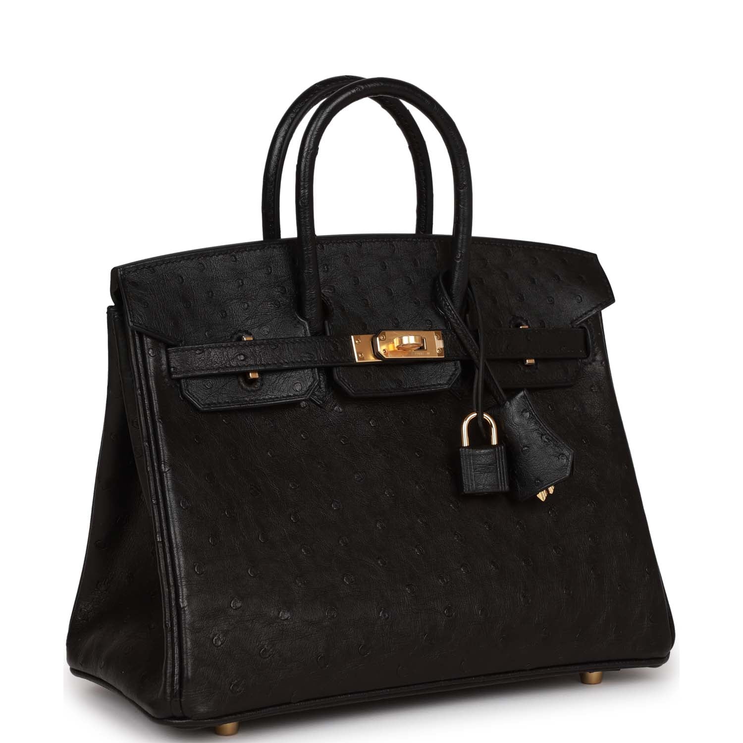 Her Birkin 25 Black Ostrich Gold Hardware