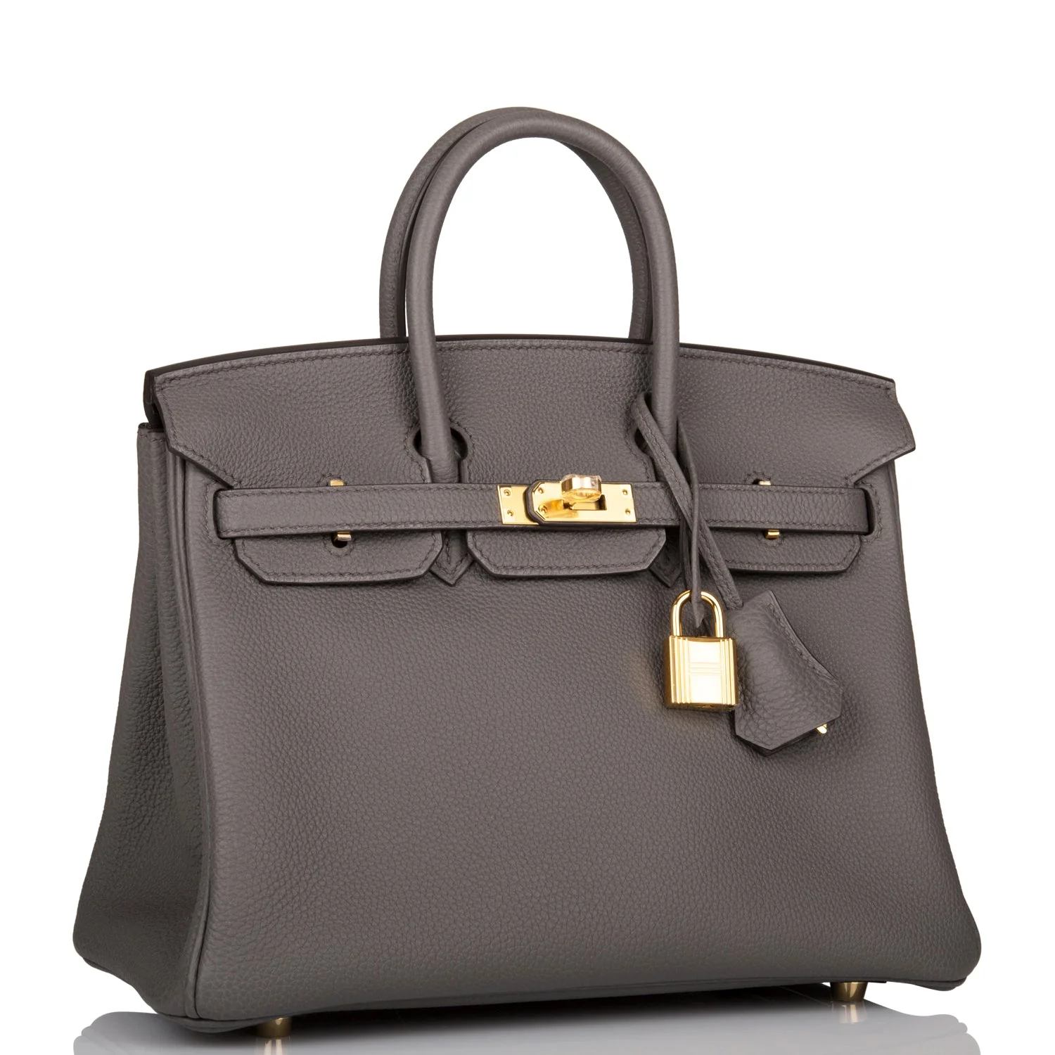 Her Birkin 25 Etain Togo Gold Hardware