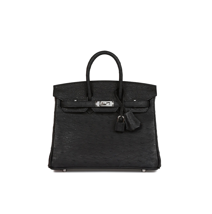 Birkin 25 Black Ostrich Palladium Hardware