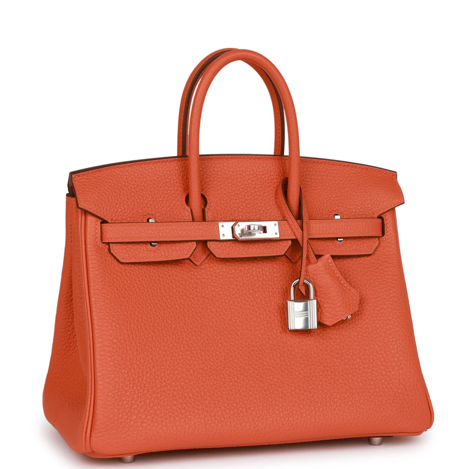 Her Birkin 25 Orange Togo Palladium Hardware