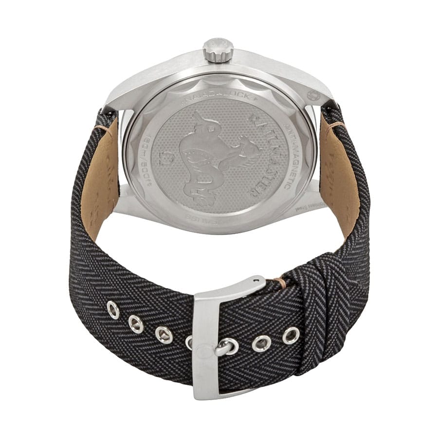 Omega Railmaster Black Replica