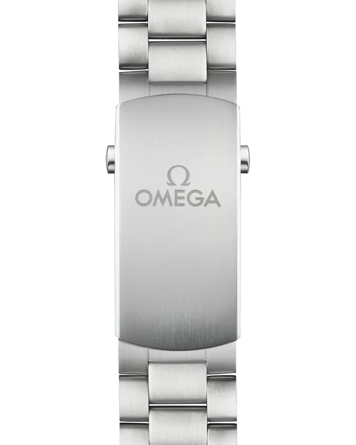 SEAMASTERPLANET OCEAN 600M45.5 MM, STEEL ON STEEL