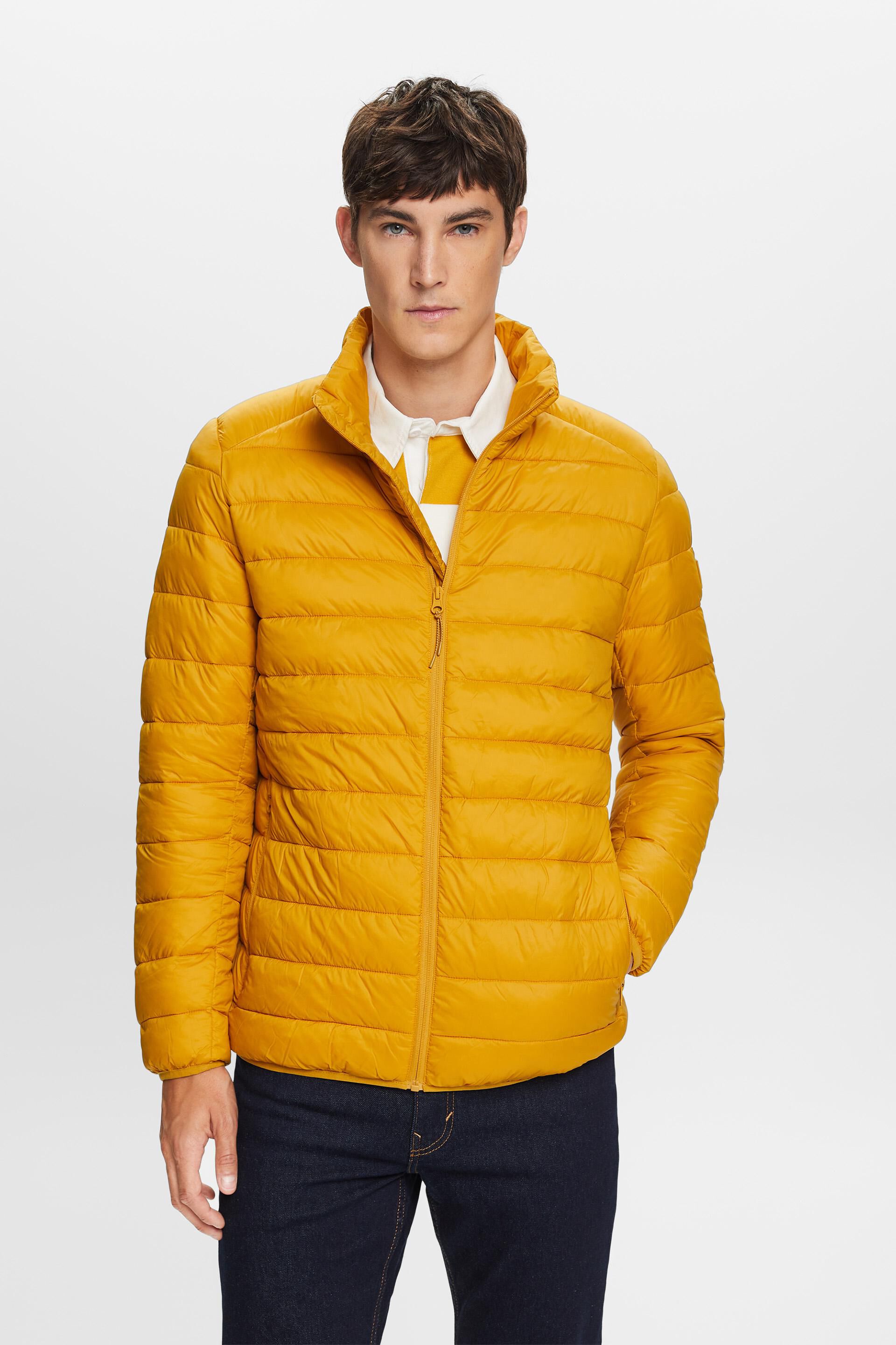 Esprit neck high jacket with Quilted