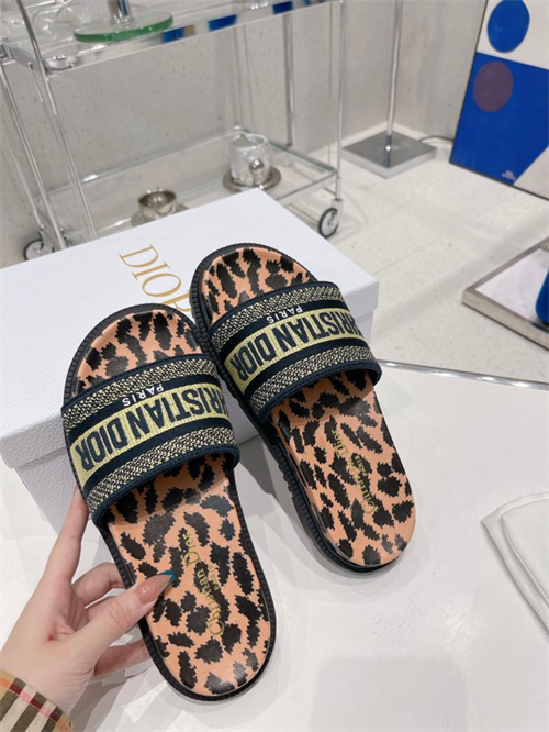 dio slipper