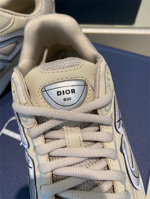 D***R B30 Sneakers