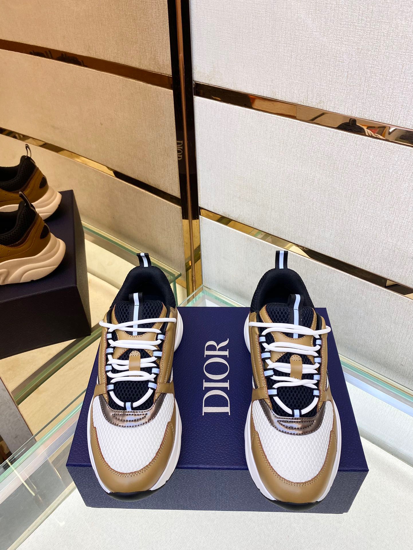 dior b22 10