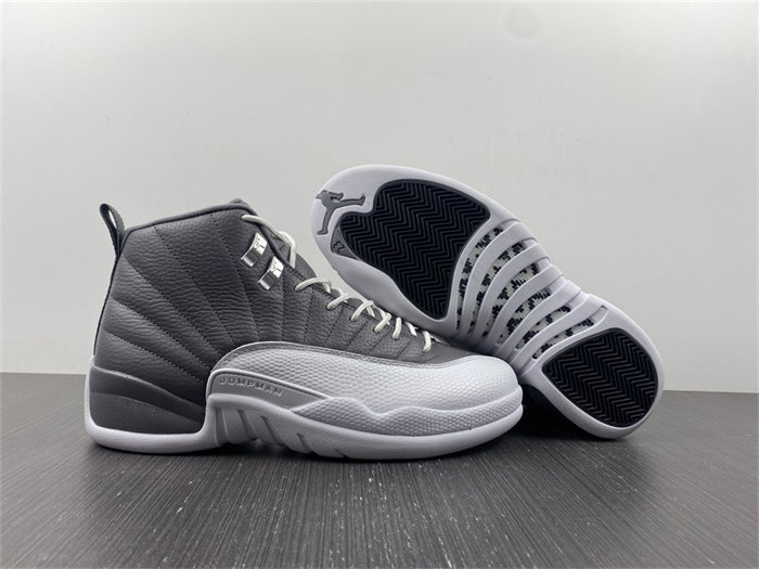 Jordan 12 STEALTH CT8025-610