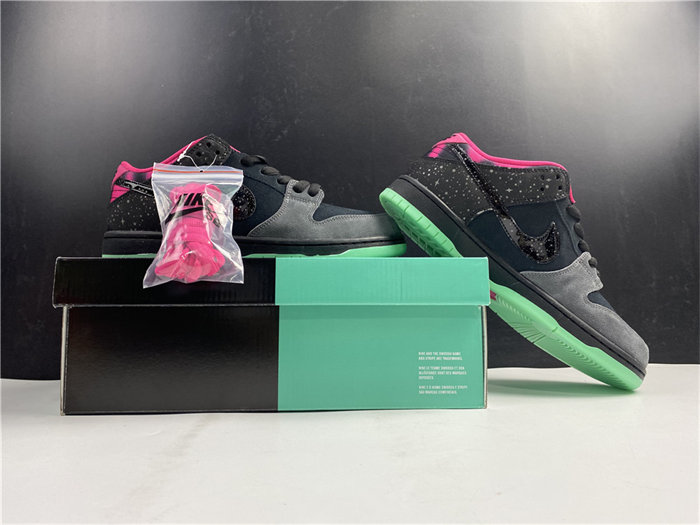 nike dunk sb low premier northern lights 724183-063