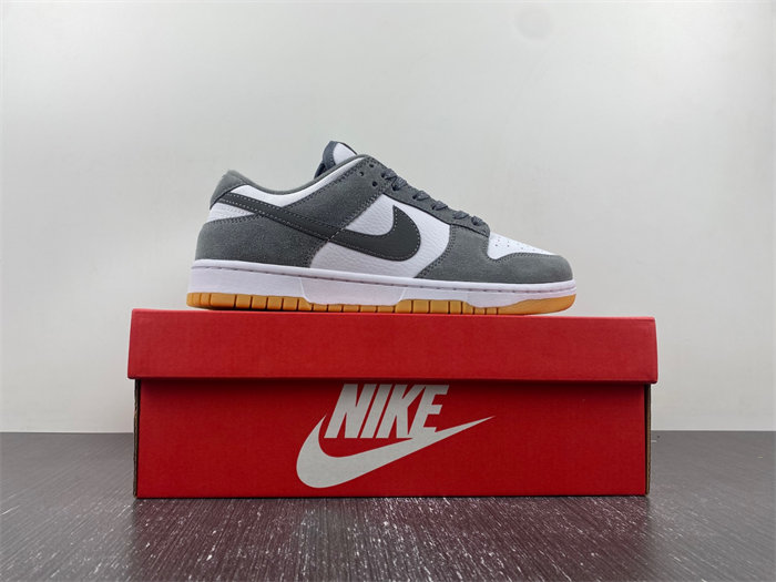 nike dunk low fv0389-100