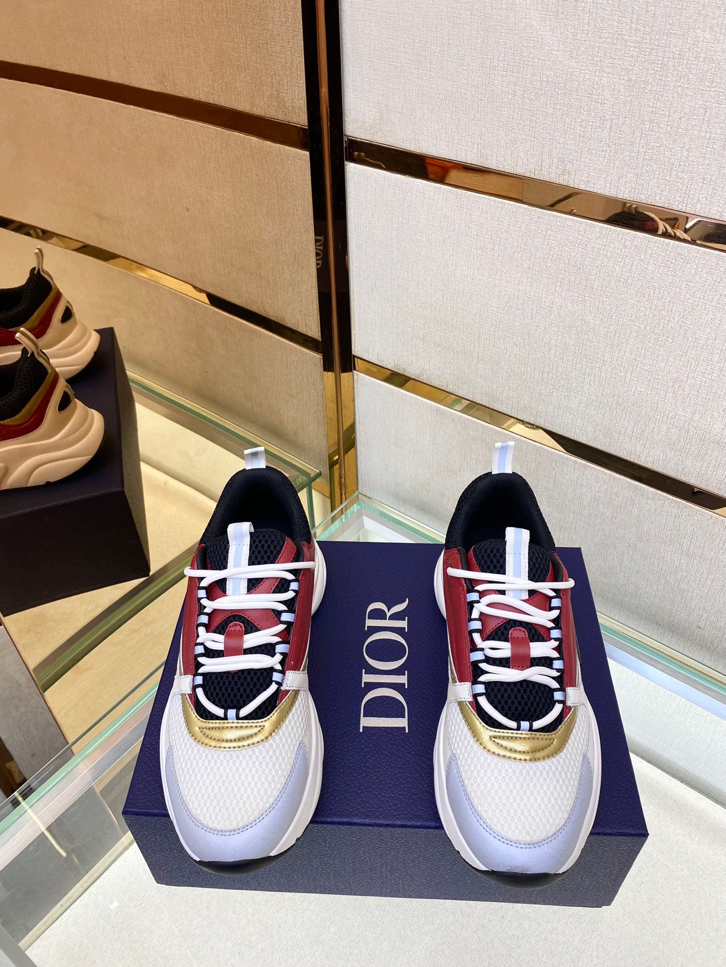 dior b22 12