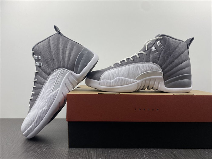 Jordan 12 STEALTH CT8025-610