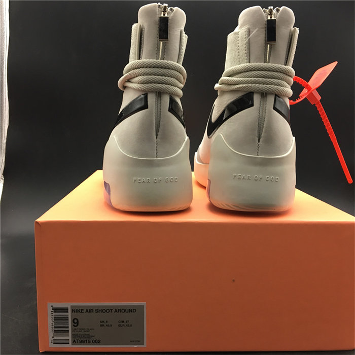 Nike Air Fear Of God 1 SA Light Bone Black AT9915-002