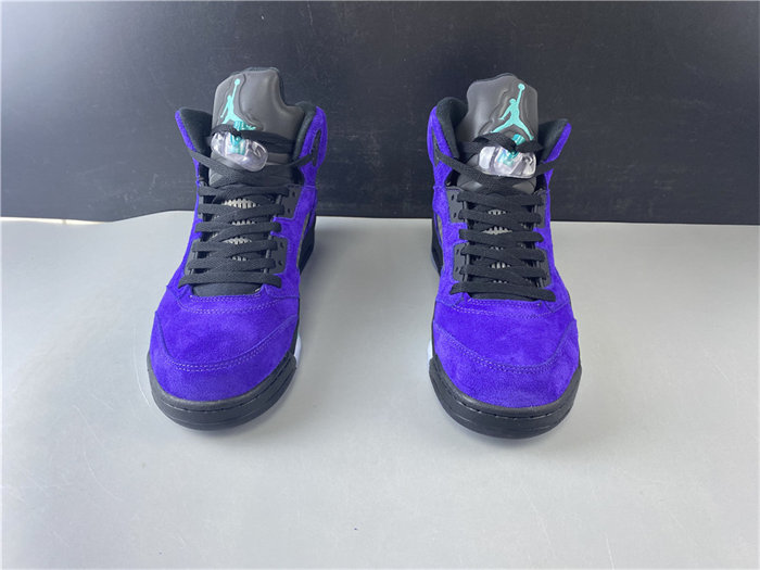 Jordan5 Alternate Graape 136027-500