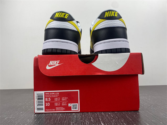 Nike SB Dunk Scrap LowWolf Grey FQ2431-001