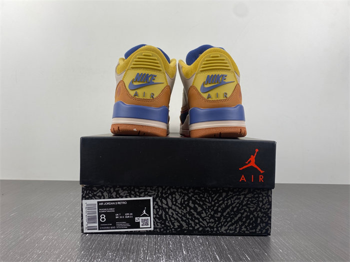 Air Jordan 3 DX6660-900