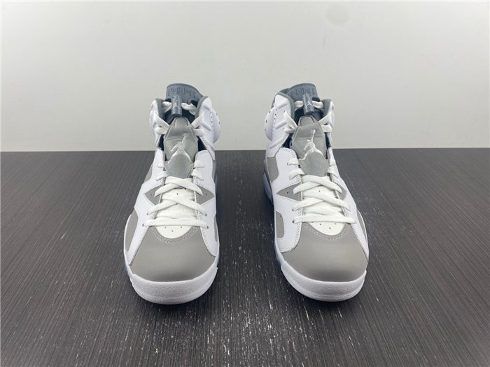 Jordan 6  Cool Grey CT8529-100