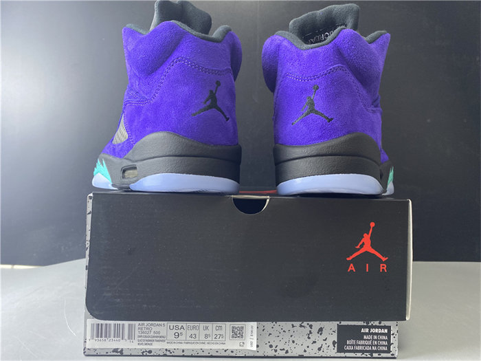 Jordan5 Alternate Graape 136027-500