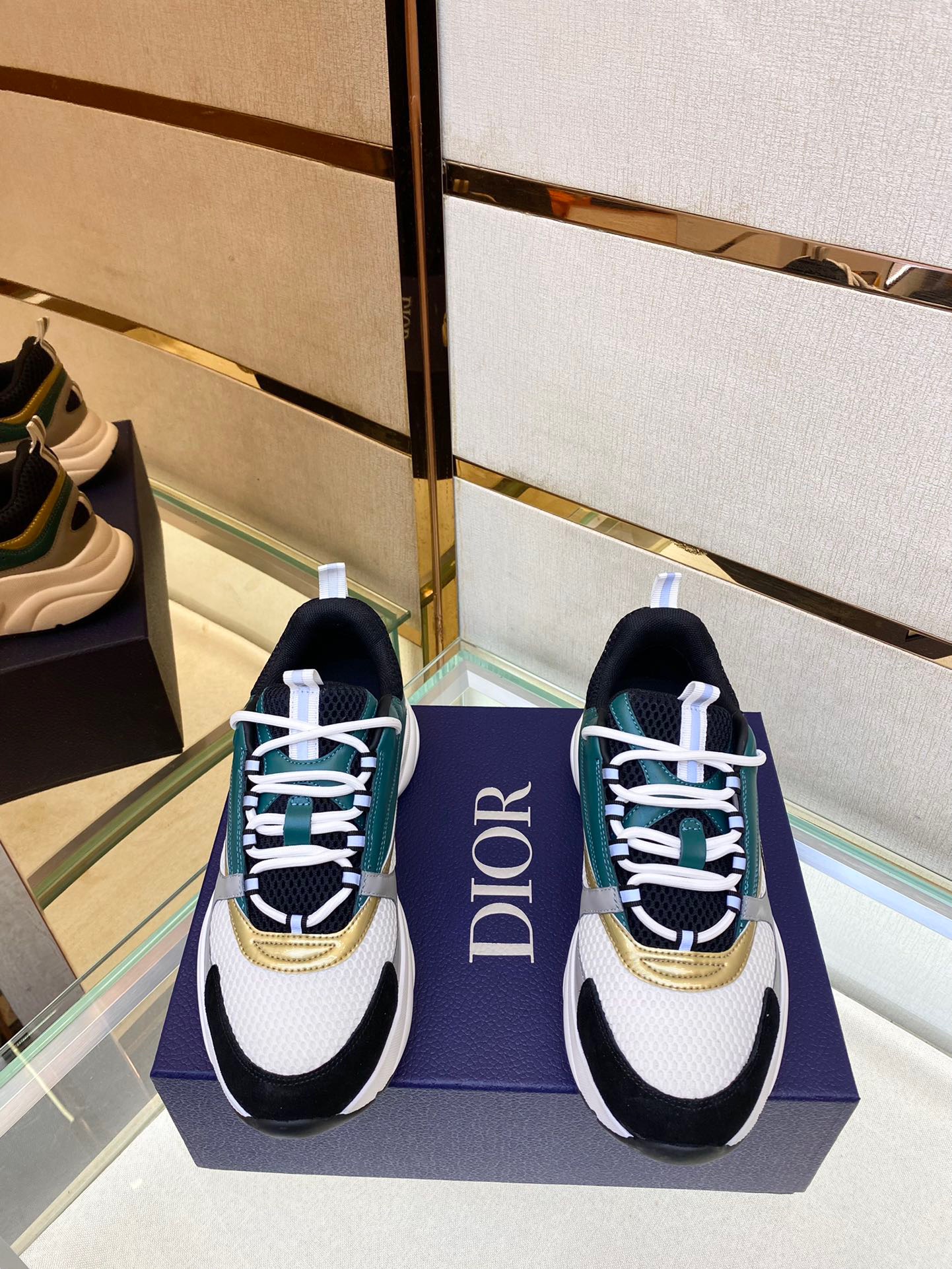 dior b22 13