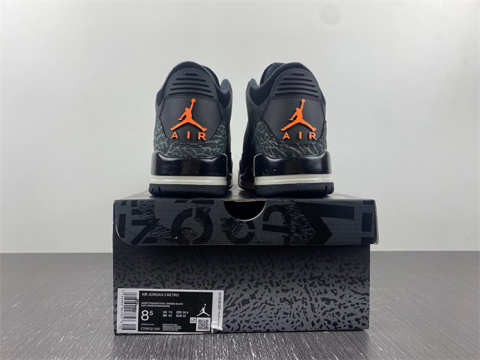Air Jordan 3 CT8532-080