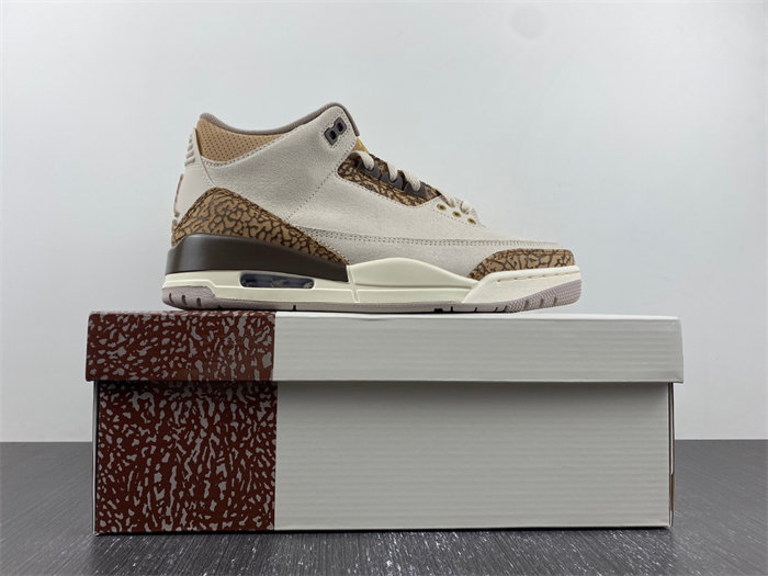 jordan 3 retro palomino ct8532-102