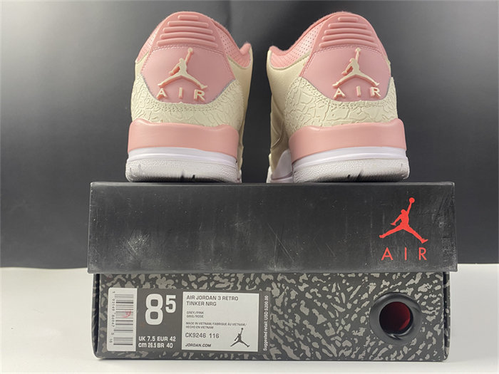 Jordan3 Sail Rust Pink CK9246-116