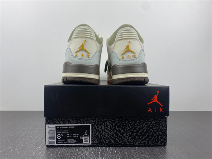 Air Jordan 3 DX6660-800