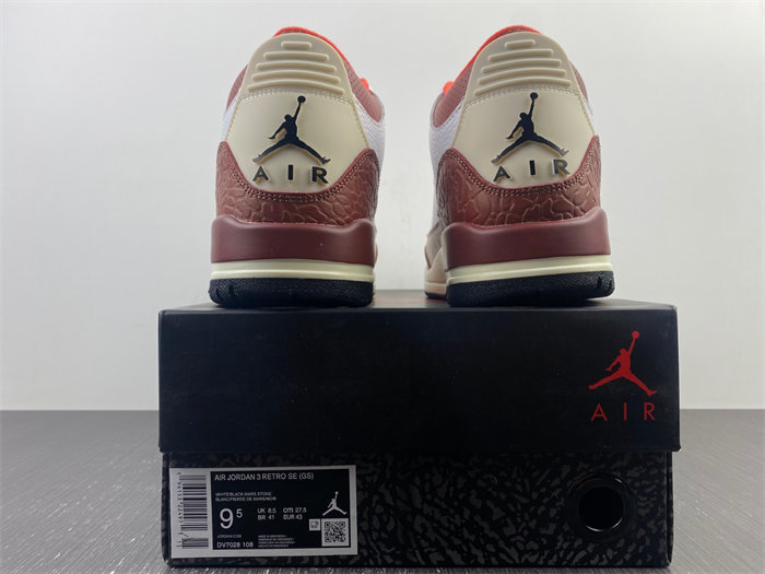 Jordan 3 Retro SE Dunk on Mars DV7082-108