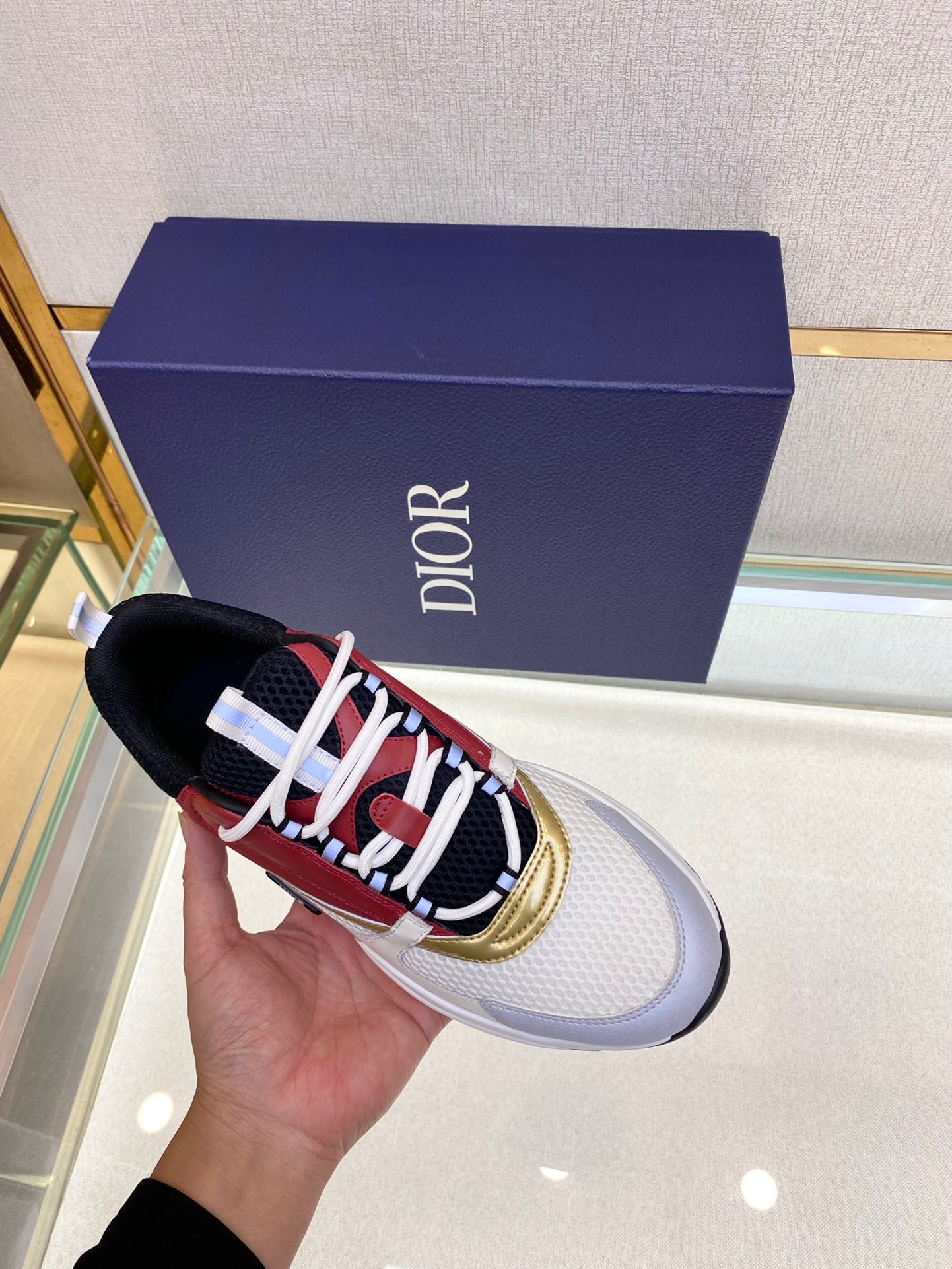 dior b22 12