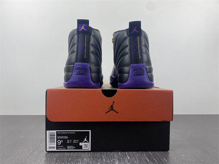 Jordan 12 Retro Field Purple CT8013-057