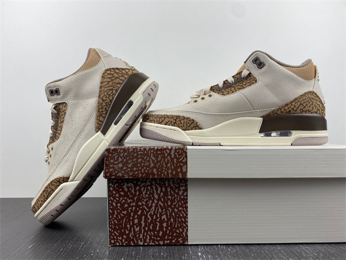 Jordan 3 Retro Palomino CT8532-102