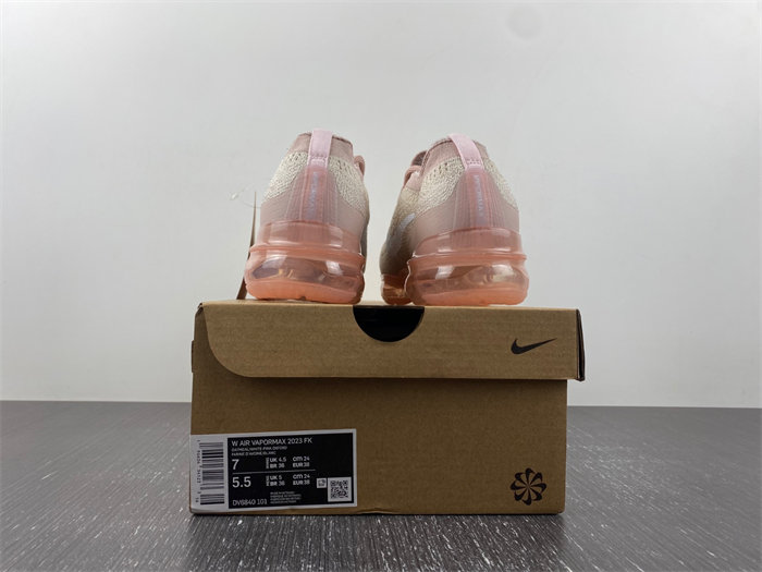 Nike Air VaporMax  DV6840-100