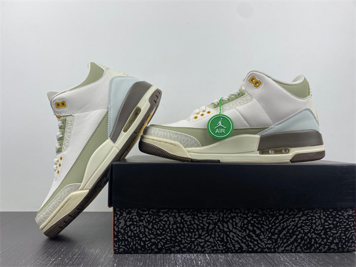 Air Jordan 3 DX6660-800