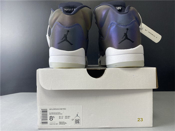 Jordan5 Oil Grey CD2722-001