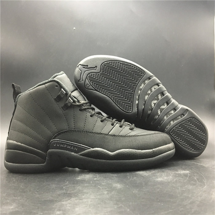 jordan 12 wntr 130690-601